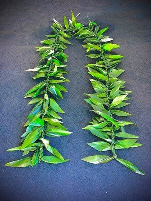 Traditional maile-style ti leaf lei