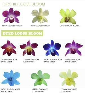 Bulk pack of 1000 loose orchid blooms for leis or events