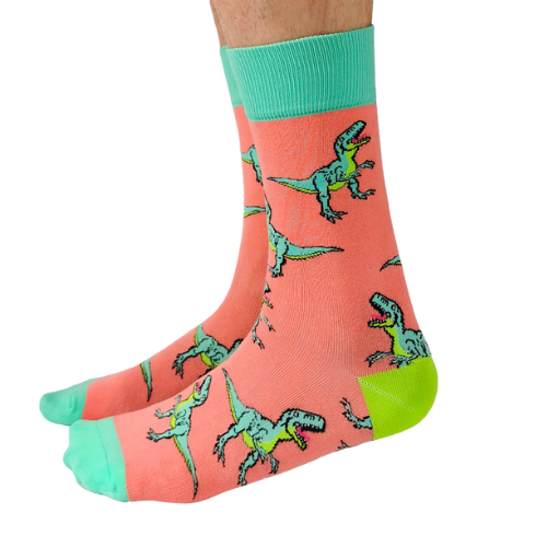 Sock with dinosaur pattern on a white background