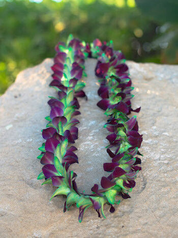 Single strand dyed orchid lei in vibrant color options