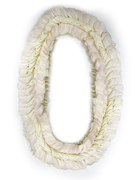 White orchid fancy lei accented with white orchids in a feather like pattern