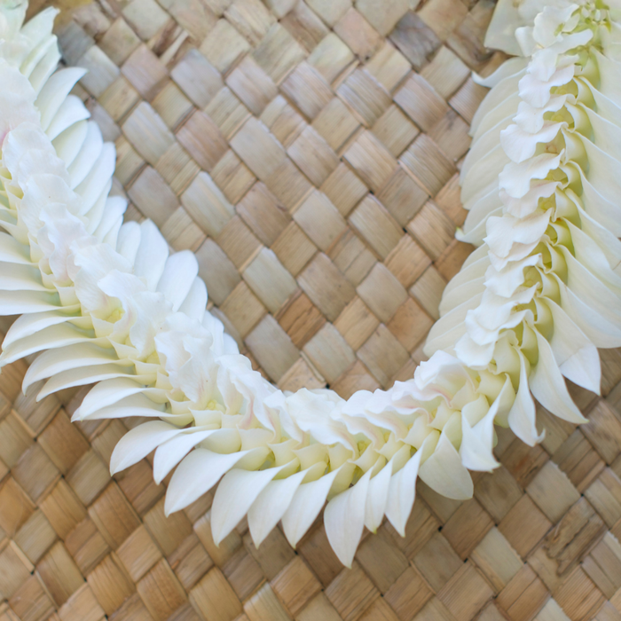 White orchid Indiana-style lei with layered orchid strands