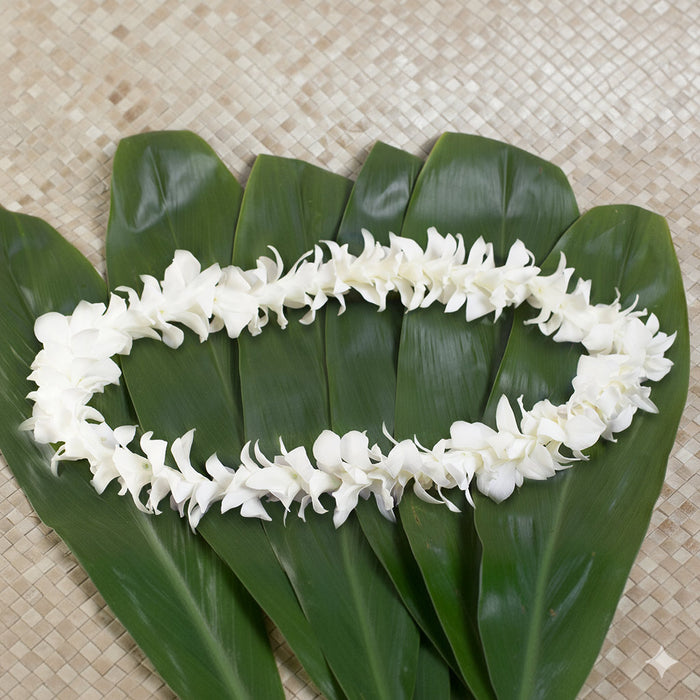 WHITE ORCHID SINGLE LEI