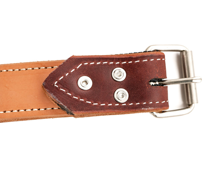 Beastmaster Junior Back Cinch Buckle